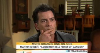 Soon to be ex-wife Brooke Mueller gets restraining order against Charlie Sheen