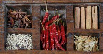 Exotic spices are becoming an integral part of our diets