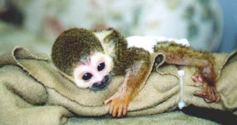 Exotic Pets Could Be Dangerous for Kids