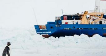 MV Akademik Shokalskiy is seen here trapped in Antarctic ices