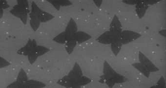 This scanning electron microscope (SEM) image shows the graphene "seeds" that were planted on a copper substrate through chemical-vapor deposition