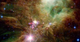Spitzer image showing the Christmas Tree star cluster