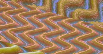 Images taken with a 3-D microscope show wrinkled surfaces produced using a method developed by the MIT team