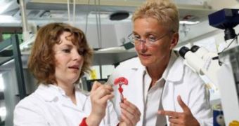 Dr. Johanna Schanz (left) and Professor Heike Mertsching work to develop an artificial liver