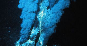 Photo showing a real-life hydrothermal vent