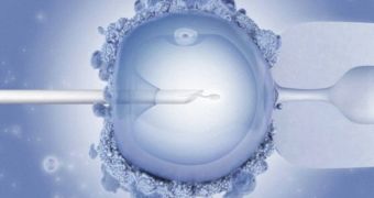 Human egg injected with sperm during IVF