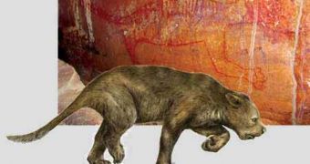 An artist's depiction of the Australian marsupial lion is seen in the foreground. the background is a picture of the cave painting that led to the model
