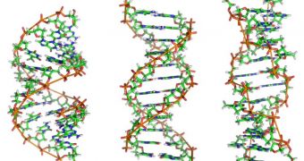 DNA-damaging molecules rarely pierce single-layer protective membranes