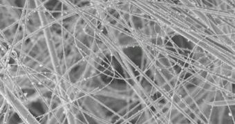 A photo showing the new bioactive glass nanofibers