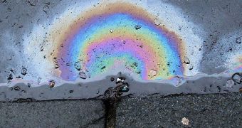Oil stain on the road. Plastics can now be made through bioengineering, not chemical synthesis