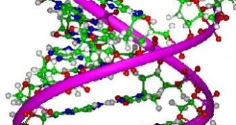 While average DNA has just 4 "letters," synthetic acid can have up to 12