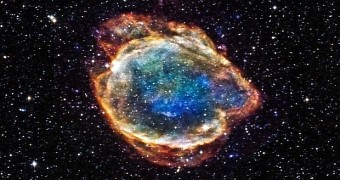 Exploded, Torn-Apart Star Resembles Blooming Cosmic Flower