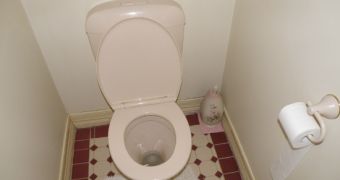 Woman needs medical help after toilet explodes right beneath her