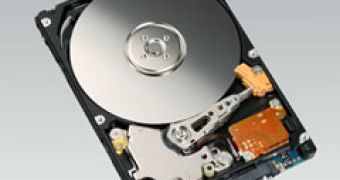 Fujitsu released a 200GB HDD designed for continuous operation