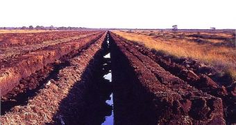 Degrading peatlands release large amounts of carbon dioxide into the atmosphere
