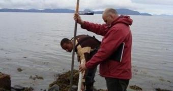 Temple University researchers analyze the speed of anaerobic biodegradation on the shorelines of Prince William Sound, in Alaska, the site of the 1989 Exxon Valdez oil spill