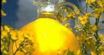 FDA Approves Canola Oil Because It Is Good for the Heart