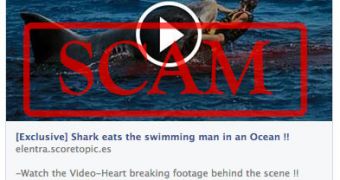 Man-eating shark Facebook scam