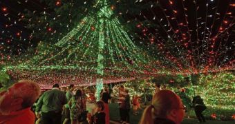 Family Breaks Christmas Lights World Record for the Second Time