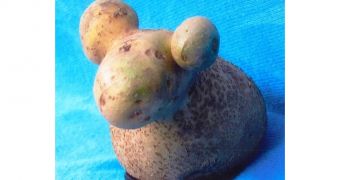 A sheep shaped potato is named “Spud”