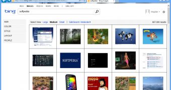 The new Bing Image Search features a completely new design