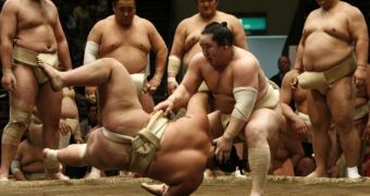 Fat-Fingered Sumo Wrestlers to Get Apple iPads