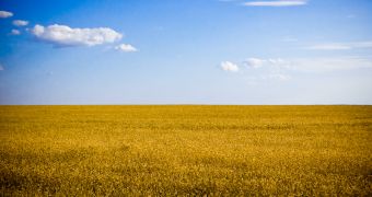 Typical high-yield fertile grounds in Ukraine