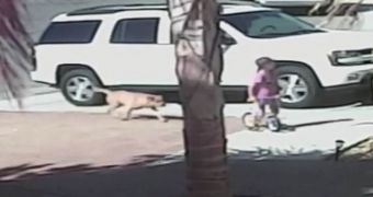 Cat charges, tackles and chases away a dog that was attacking its young owner