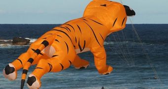 Australia's Festival of the Winds presents the public with a genuine air safari