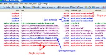 Encoded stream and the two payloads