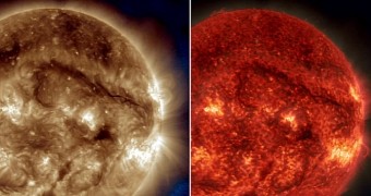 NASA scientists map giant filament of solar material on the surface of the Sun