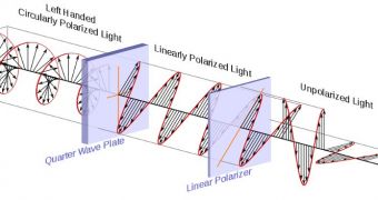 Filter Detects Circular Polarized Light