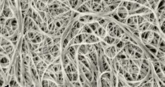 This is a sample of nanotubes, as made apparent by a scannin electron microscope