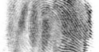 The ridges on our fingers that create fingerprints have no established purpose at this point