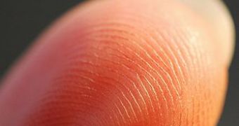 Fingerprints could replace web accounts passwords.