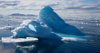 Finland agrees to back efforts to safeguard the Arctic