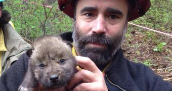 Wolf pups rescued from encroaching flames by firefighters in Alaska