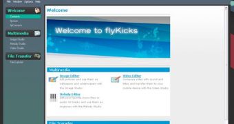flyKicks software