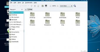 Mandriva Linux 2010.1 Beta 1 GNOME Live CD