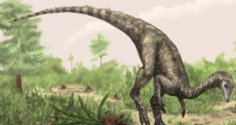 First dinosaur discovered, research shows it was the size of a Labrador