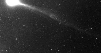 Image showing Halley's Comet