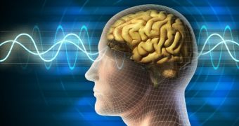 Scientists create human-to-human brain interface