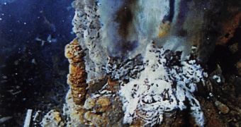 A hydrothermal vent