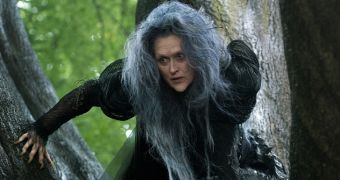 Meryl Streep is “the Witch who wishes to reverse a curse so that her beauty may be restored”