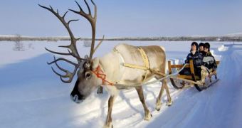 Reindeer butchered in Norway to create Muslim accepted ham