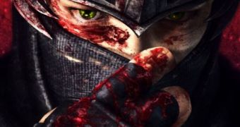 More Ninja Gaiden 3 details appear
