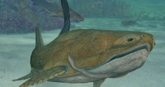 Ancient fish species was the first to sport a modern jaw, specialists say