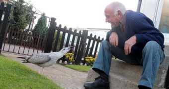 Fisherman in England is best friends with a seagull