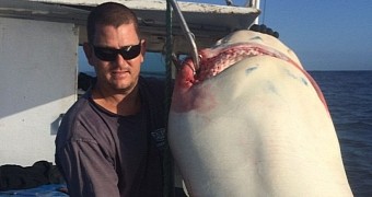 Earlier this week, 33-year-old Joel Merchant caught a massive shark in Australian waters
