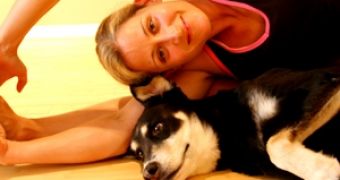 Doga classes are gaining in popularity, dogs and their owners are happy